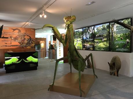 InsectPark, el divertido museo de los insectos, apto para visitar con nios y curioso para los adultos