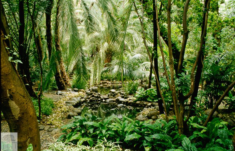 Jardín tropical La Concepción, de los más hermosos de España