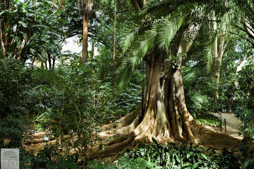 Jardín tropical La Concepción, de los más hermosos de España