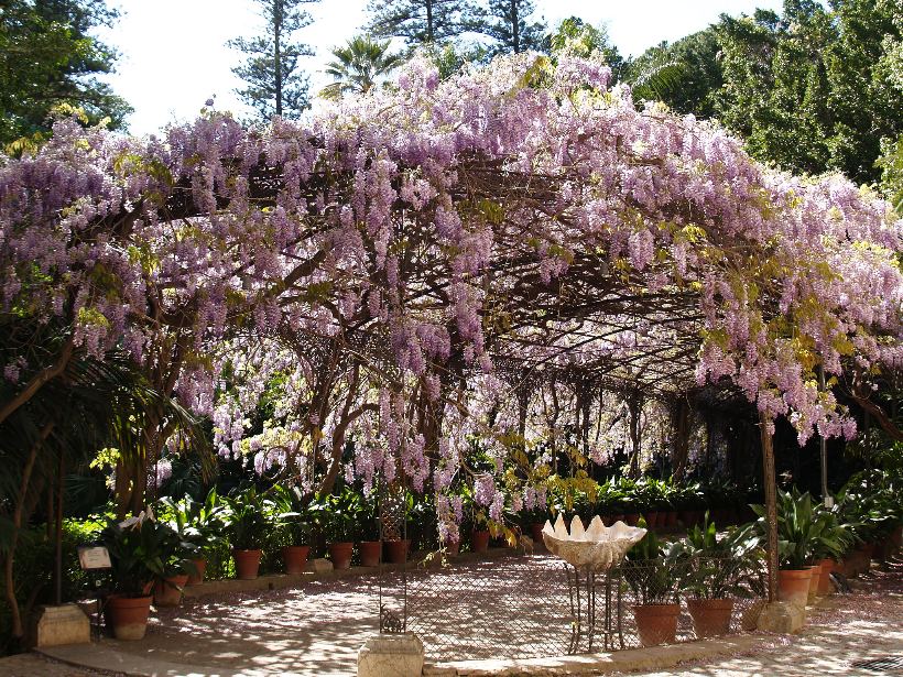 Jardín tropical La Concepción, de los más hermosos de España
