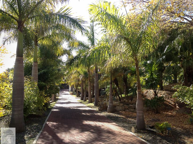 Jardín tropical La Concepción, de los más hermosos de España