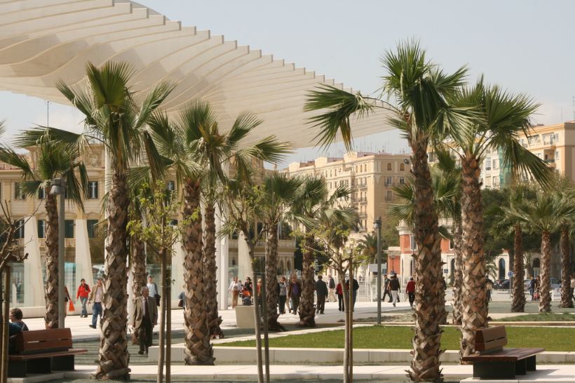 Palmeral de las sorpresas, un lugar ideal para pasear en Málaga