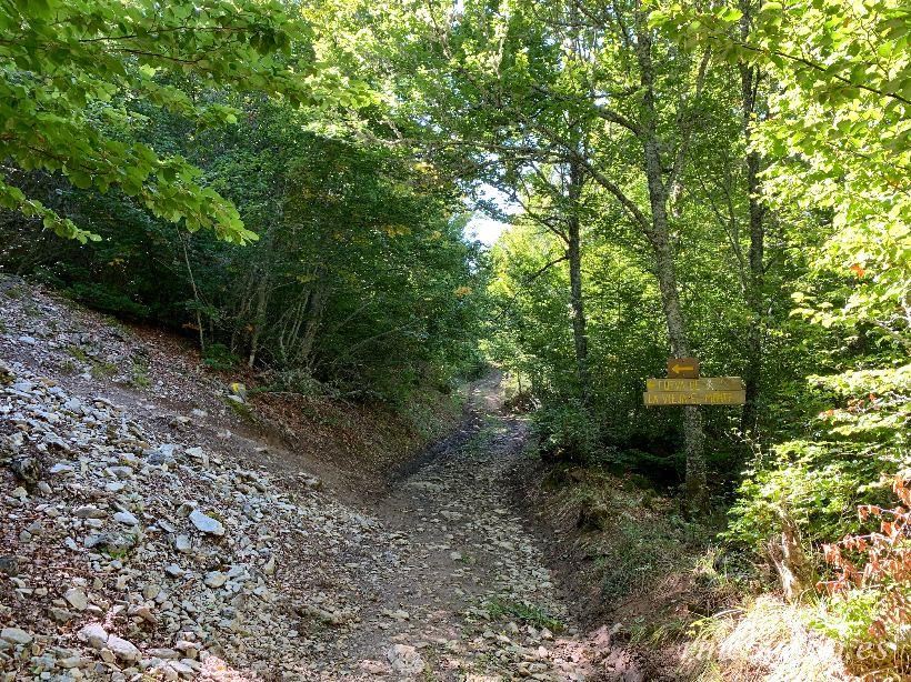 Ruta de la Cueva de la Vieja del Monte, tradición, leyenda y naturaleza, en el hayedo de las Viescas en Riaño