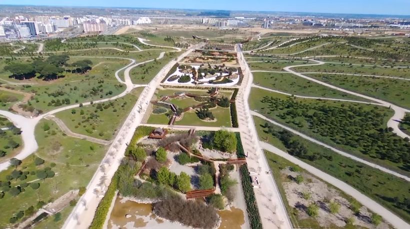 Parque Forestal de Valdebebas Felipe VI, el gran árbol de Madrid y su mayor parque urbano