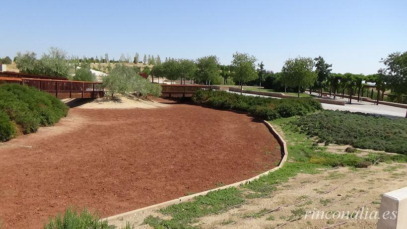 Parque Forestal de Valdebebas Felipe VI, el gran árbol de Madrid y su mayor parque urbano