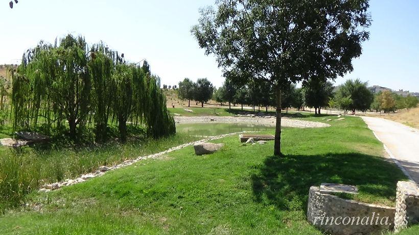 Parque Forestal de Valdebebas Felipe VI, el gran árbol de Madrid y su mayor parque urbano