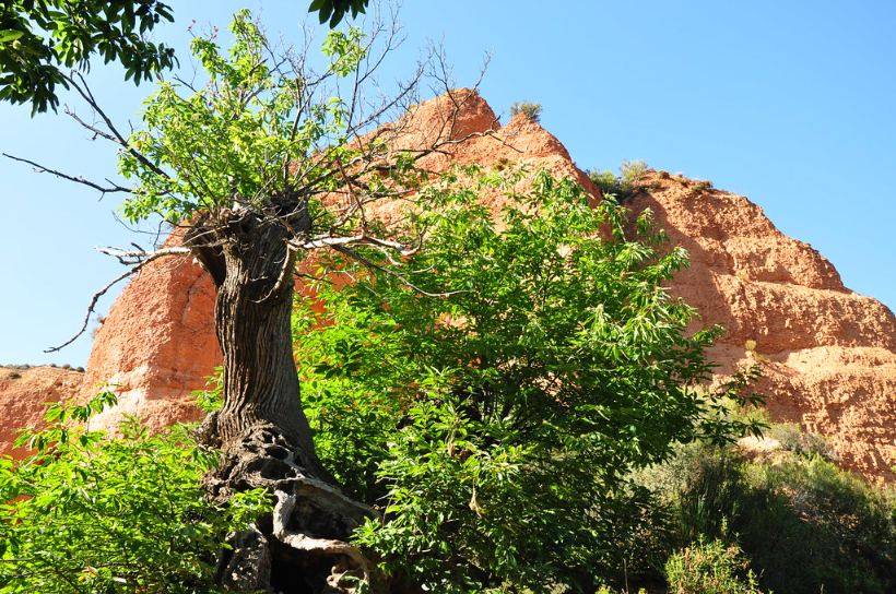 Visitar las Médulas, un paisaje resultado de la mayor mina de oro a cielo abierto romana en el Bierzo 