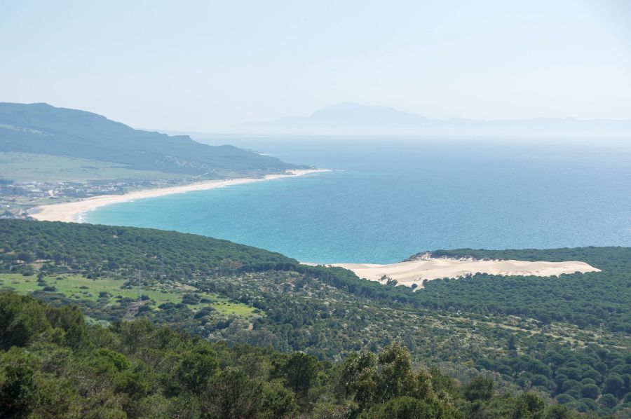 La Playa de Bolonia y su duna, una de las últimas playas vírgenes