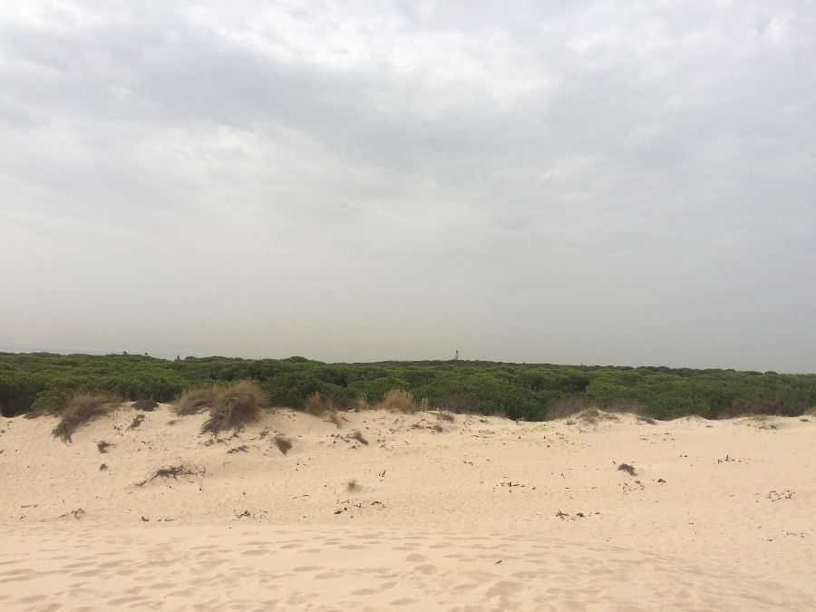 La Playa de Bolonia y su duna, una de las últimas playas vírgenes
