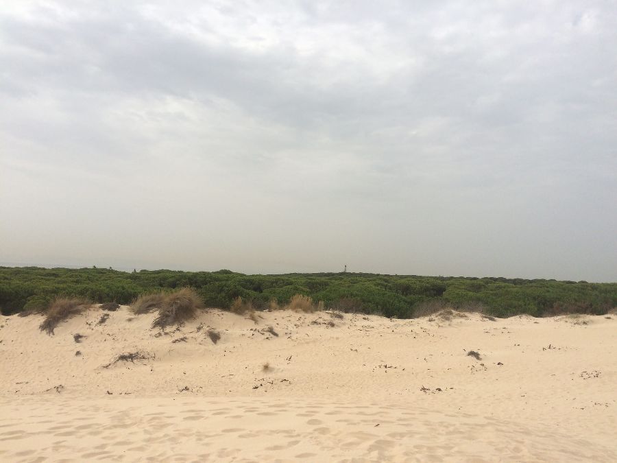 La Playa de Bolonia y su duna, una de las últimas playas vírgenes 