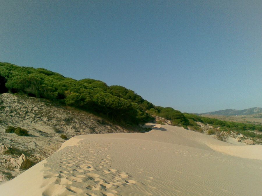 La Playa de Bolonia y su duna, una de las últimas playas vírgenes
