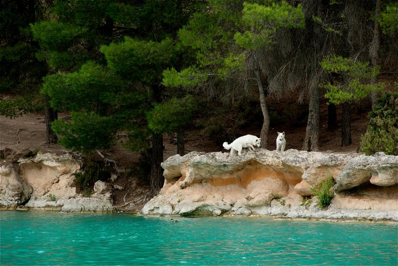 Parque Natural de las Lagunas de Ruidera