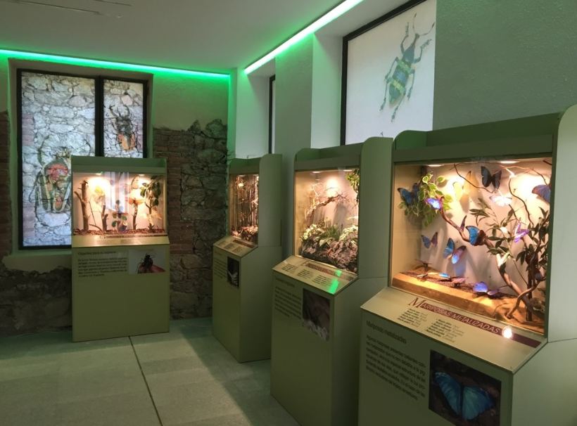 InsectPark, el divertido museo de los insectos, apto para visitar con niños y curioso para los adultos