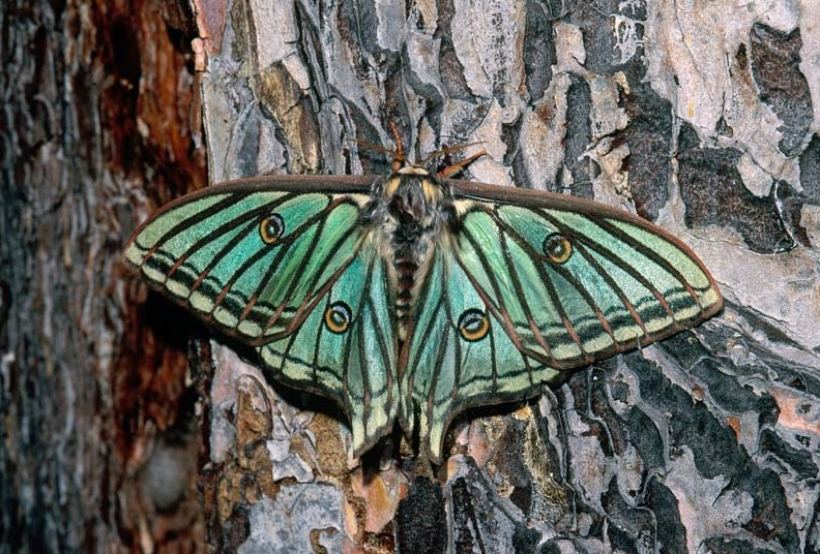 InsectPark, el divertido museo de los insectos, apto para visitar con niños y curioso para los adultos