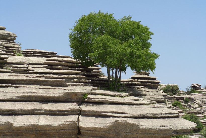 El Torcal de Antequera, un paisaje kárstico con caprichosas formas