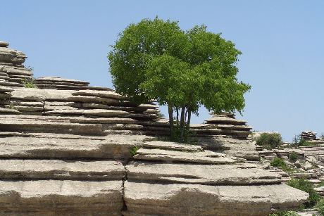 El Torcal de Antequera, un paisaje krstico con caprichosas formas